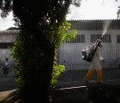 Brazil Faces New Health Epidemic As Mosquito-Borne Zika Virus Spreads Rapidly