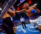 Gennady Golovkin next fight - Dominic Wade