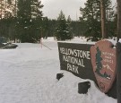 Snowmobiles in Yellowstone