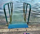 Swimmers Take An Early Dip In The Serpentine Lido