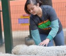 A volunteer from Buchanan Street Elementary School attend Nickelodeon Get Dirty Earth Day at Los Angeles Zoo o